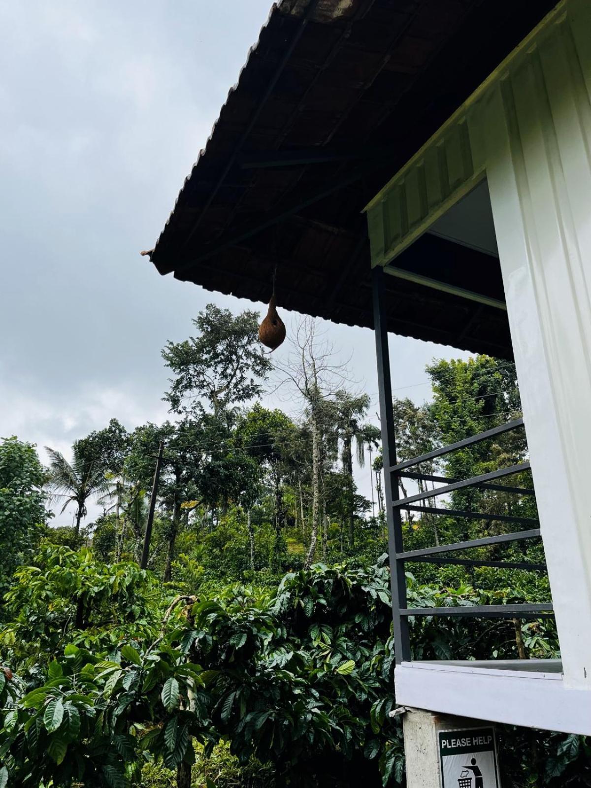 Vigo Homes Sakleshpur Zewnętrze zdjęcie
