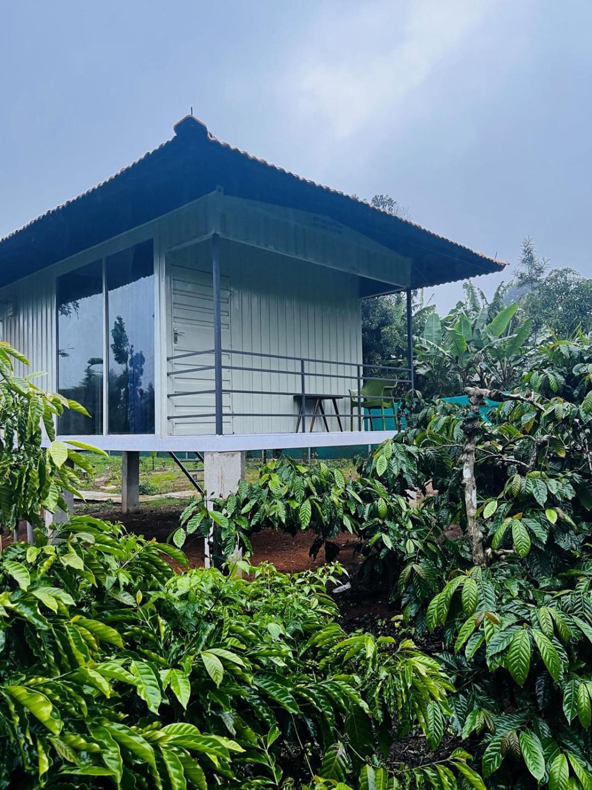 Vigo Homes Sakleshpur Zewnętrze zdjęcie